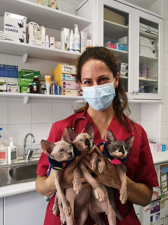 Clínica veterinaria en Humanes de Madrid Clínica Veterinaria San Antón